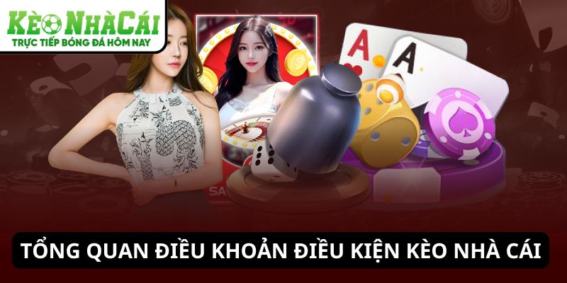 Tổng quan về điều khoản điều kiện Kèo Nhà Cái