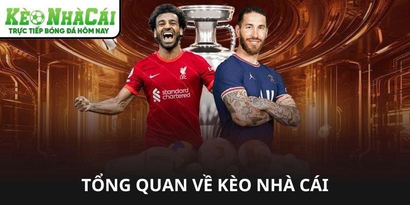 Tỷ lệ kèo nhà cái hôm nay – Hướng dẫn chọn kèo thắng lợi