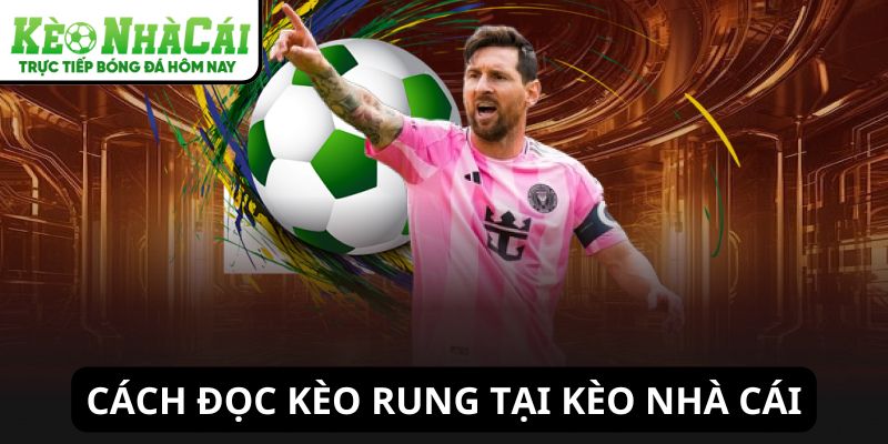 Cách đọc kèo rung tại Kèo Nhà Cái