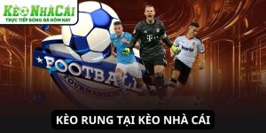 Kèo rung hấp dẫn tại Kèo Nhà Cái