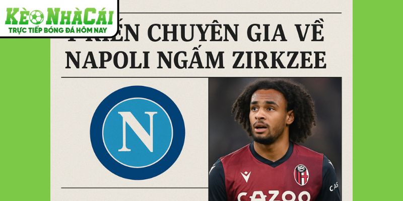 Zirkzee được các chuyên gia đánh giá cao