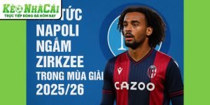Napoli ngắm Zirkzee tại Kèo Nhà Cái